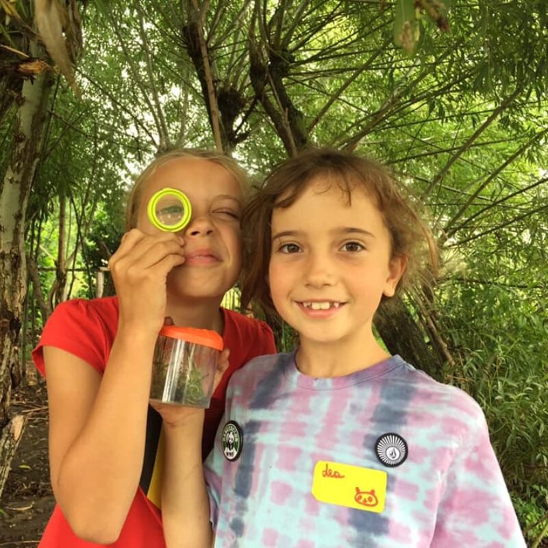 Heyo vakantiekampen Deerlijk sfeer