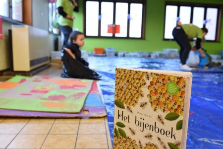 Heyo vakantiekampen De bezige bijtjes 2