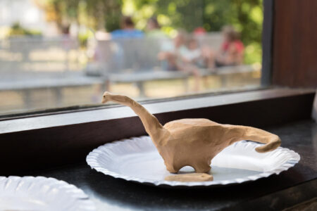 Heyo vakantiekampen Dinosauriërs 3