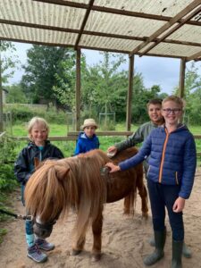 Heyo vakantiekampen Merelbeke Miniponyclub 1