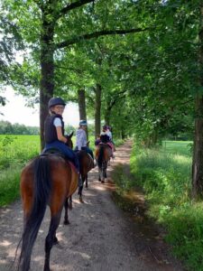 Heyo vakantiekampen Paardrijden Soerendonk 2