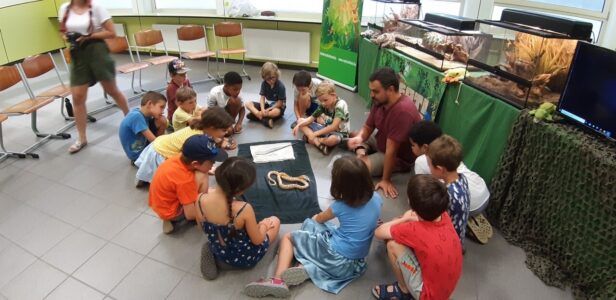 Heyo vakantiekampen Reptikamp 1