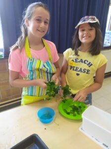 Heyo vakantiekampen Taalproject Lets cook