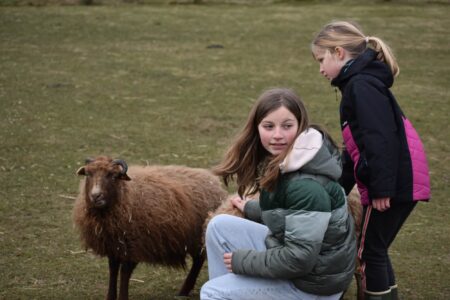 Heyo vakantiekampen taalkamp Middelkerke 5