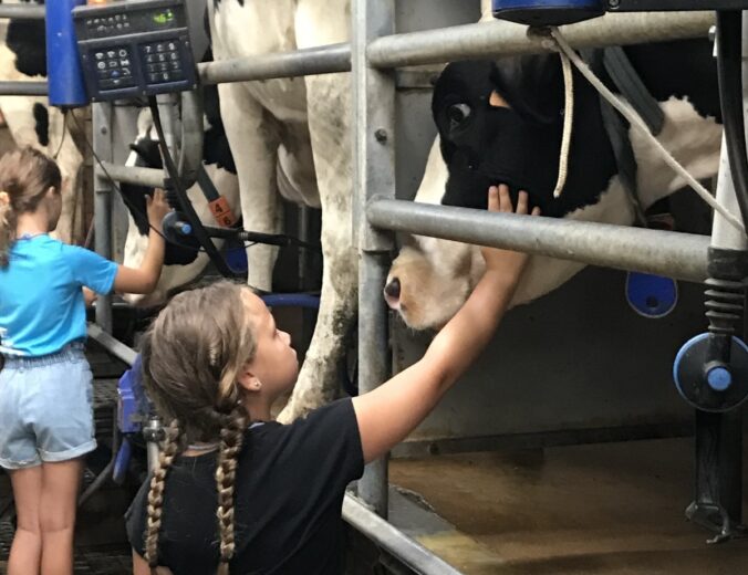 Heyo vakantiekampen Boerderijfun 2