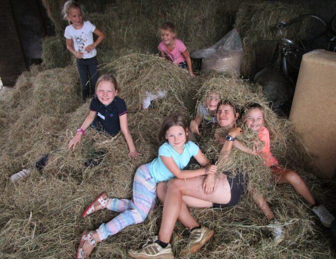 Groeikamp op de paardenboerderij
