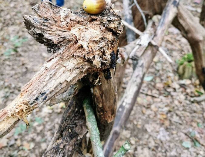 Heyo Vakantiekampen Kunst in de natuur 2 4