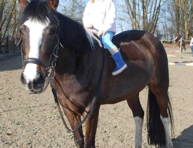 Heyo Vakantiekampen Ponypret 2