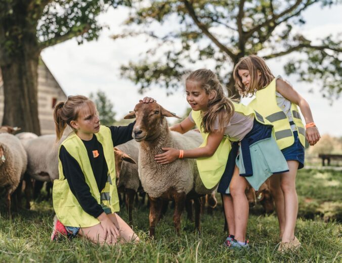 Heyo vakantiekampen Beestig bokrijk 2