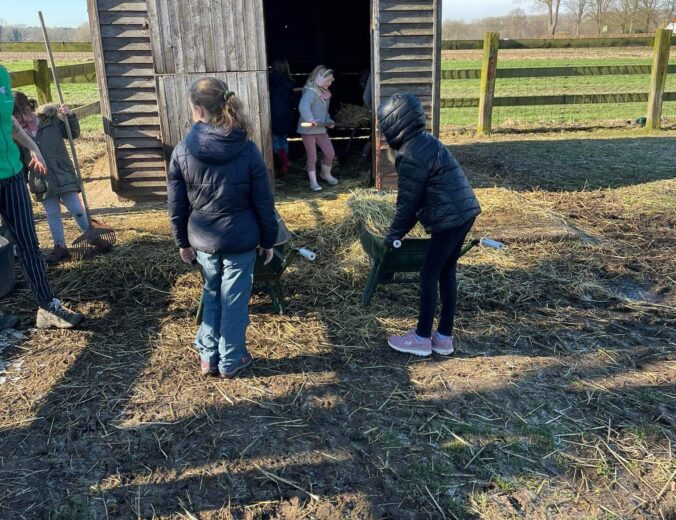 Heyo vakantiekampen Pulle Boerderijdieren 21