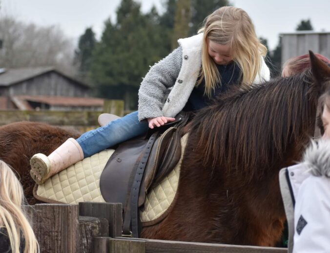 Heyo vakantiekampen Pulle Boerderijdieren 7