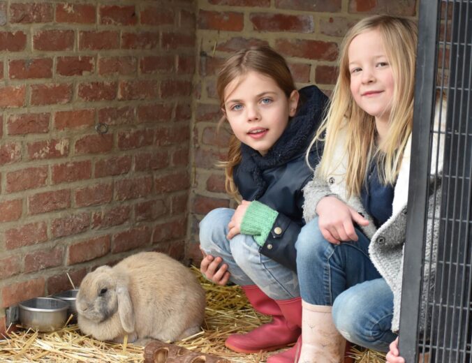 Heyo vakantiekampen Pulle Boerderijdieren 9