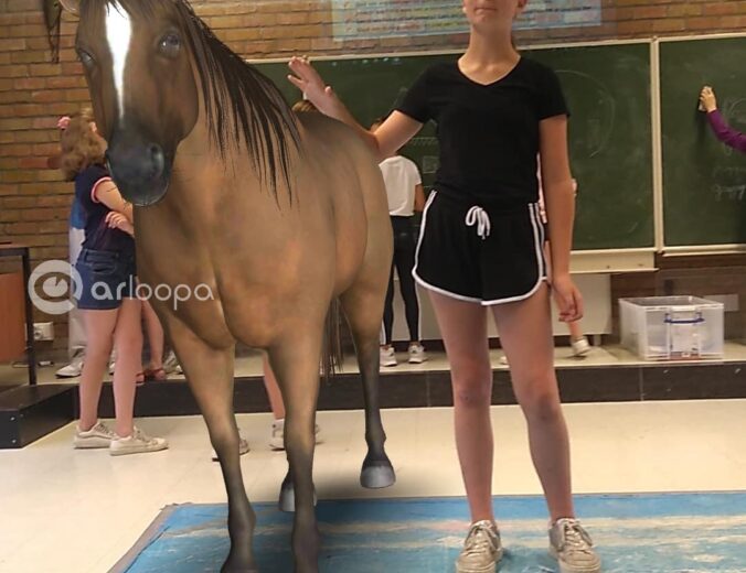 Heyo vakantiekampen Smartphonefotografie 4