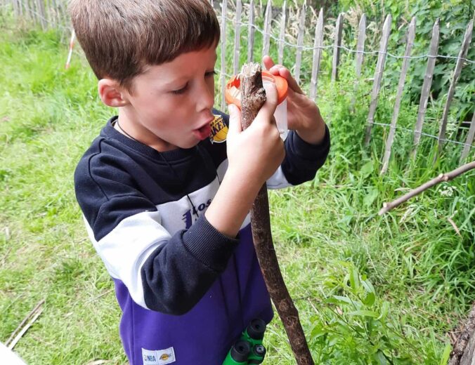 Heyo vakantiekampen WWF Natuurbeschermerskamp 4