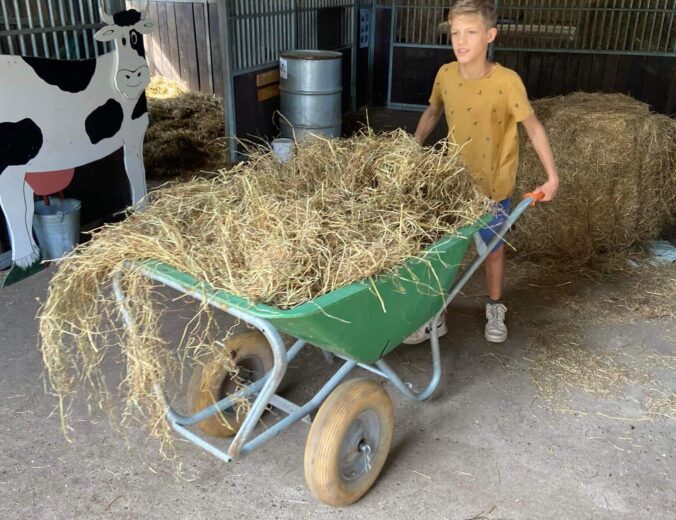 Heyo vakantiekampen Wortel Bonte Beestenboel 10