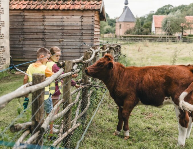 Heyo vakantiekampen Beestig Bokrijk 2