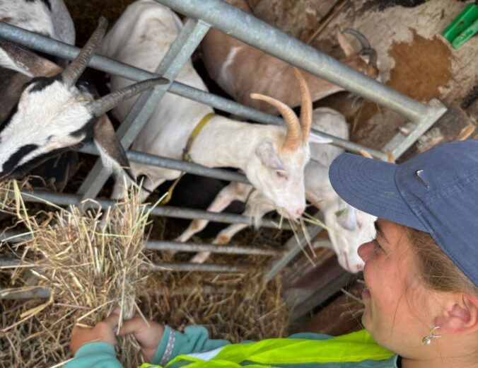 Heyo Beroepen op de boerderij 2