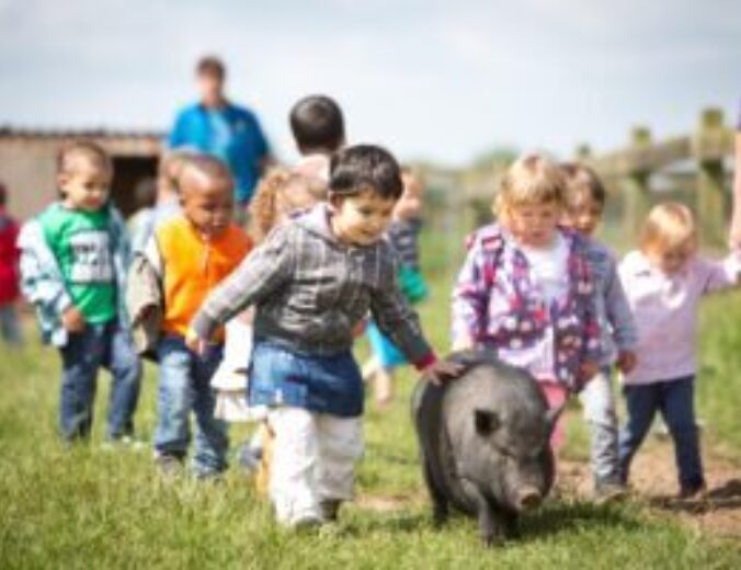 Heyo Samen op de boerderij 1