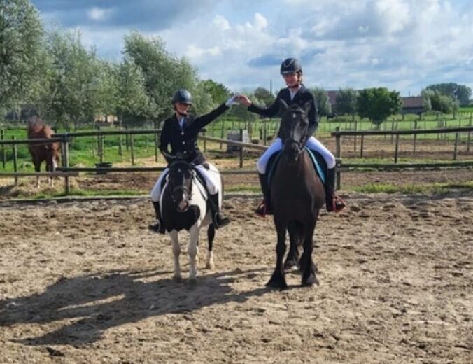 Heyo Sip stable Paardrijden in Wingene