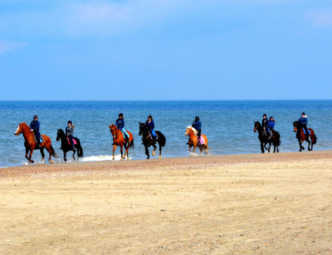 Heyo vakantie kampen paardrijden aan zee 2