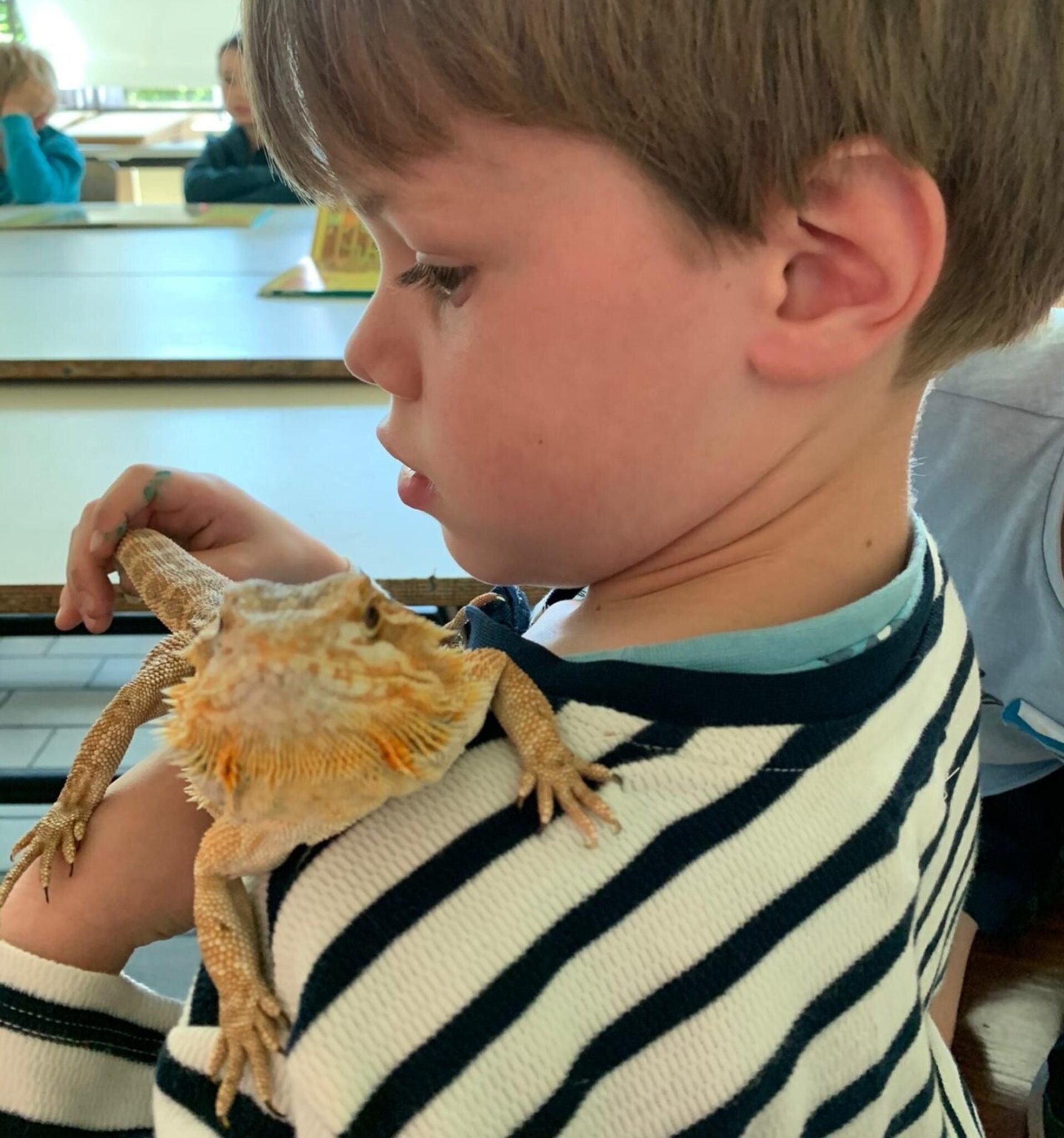 Zorgboerderij Huppeldepup Heyo vakantiekampen