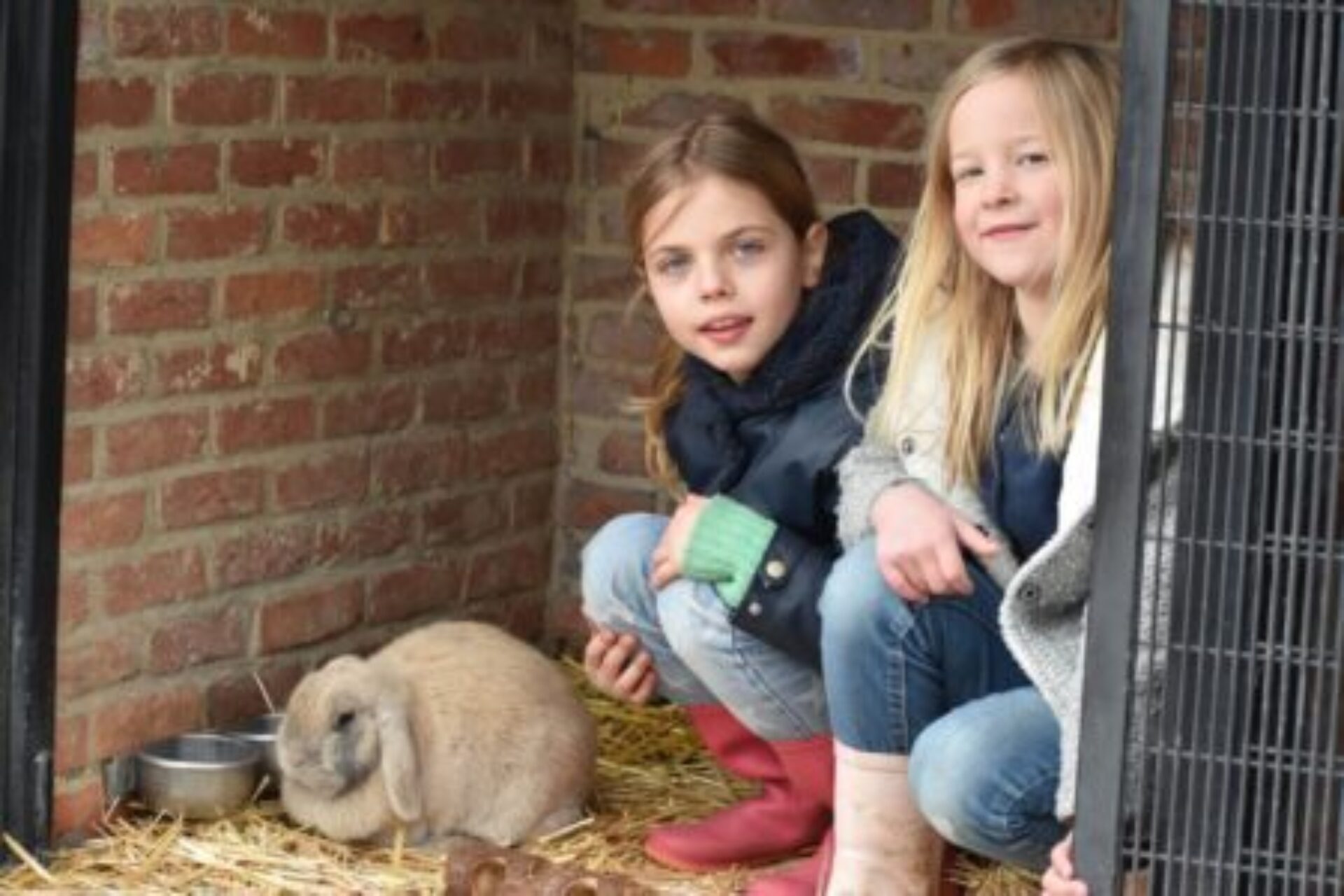Boerderijkamp teaser