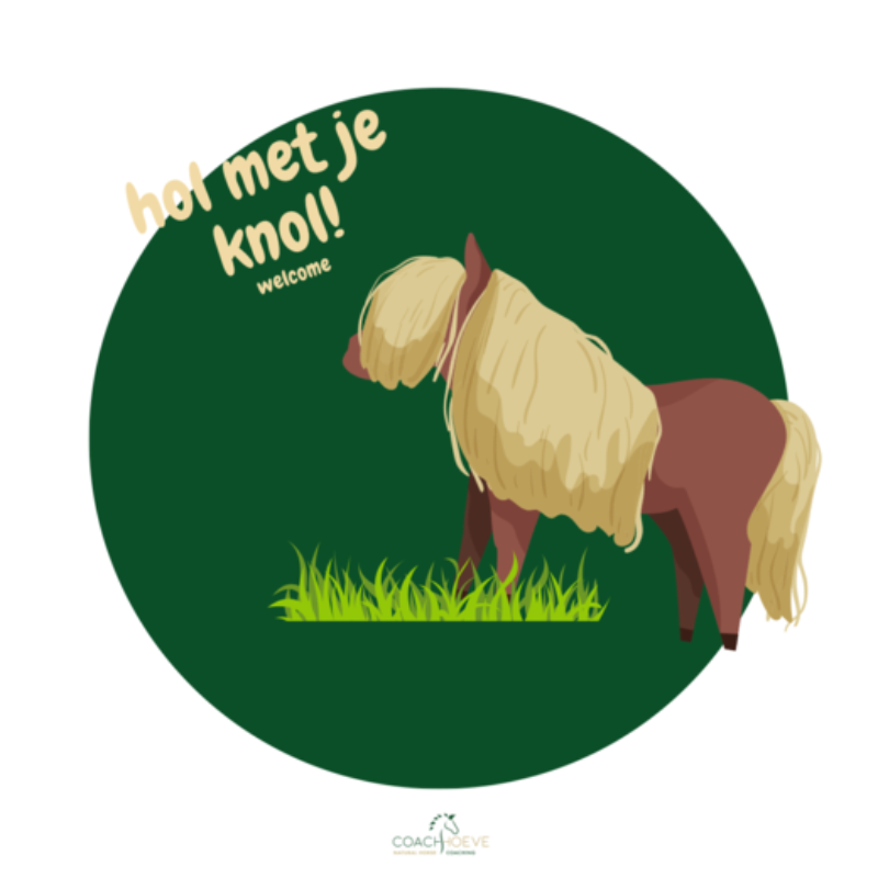 Aalter Coachhoeve 13-07-2026 Hol met je knol