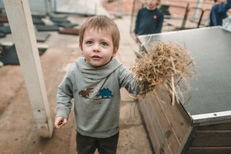 Geel 08-02-2027 De boerderij