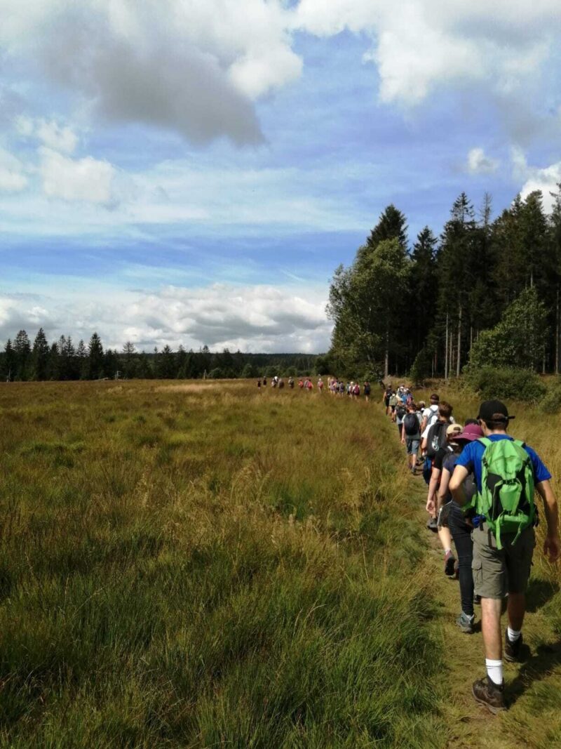 [2024] Natuurexpeditie - Zomer(21/7)  - Ovifat