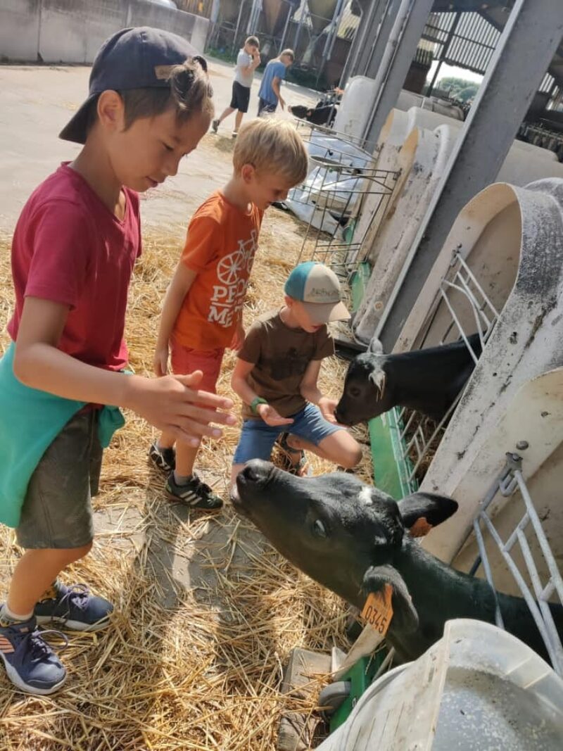 [2024] Ontdek het platteland - Zomer(18/8)  - Beauvoorde