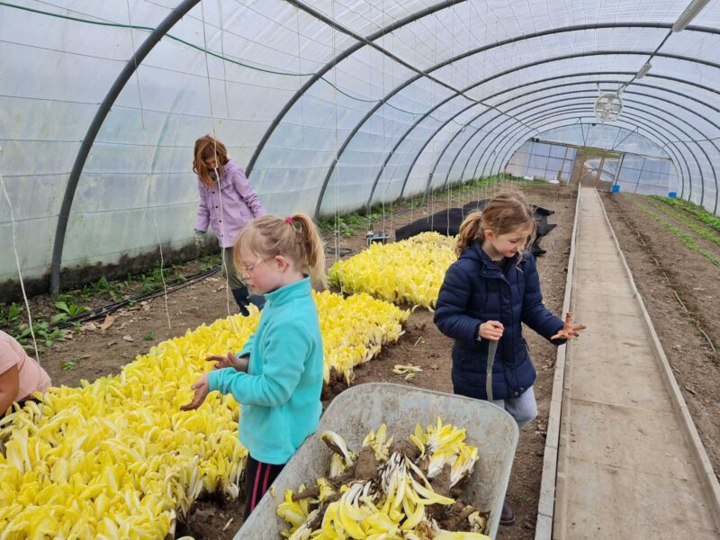 [2024] Moestuin - Pasen(31/3)  - Merelbeke