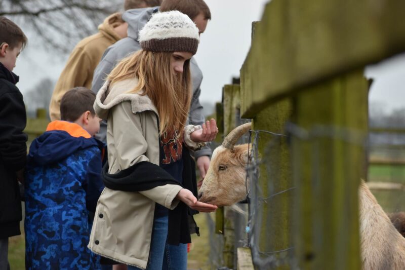 [2026] Beroepen op de boerderij - Pasen(5/4)  - Merelbeke 't Bakkershof