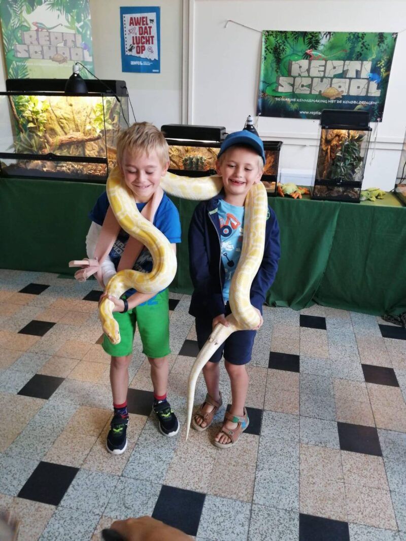 [2023] Reptikamp - Zomer 8(21/8)  - Sint-Martens-Latem