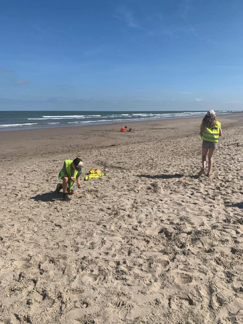 [2023] Tussen eb en vloed - Zomer(2/7)  - Oostende Oesterput
