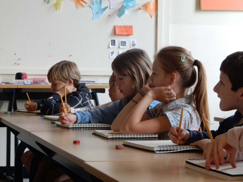 Middelkerke 26-07-2026 Boerderijtaalkamp (Engels)