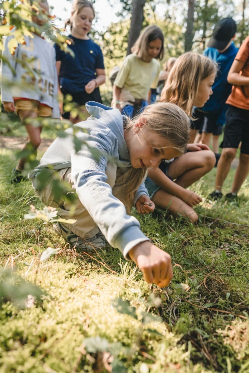 [2025] Survival in de Hoge Rielen - Zomer(10/8)  - Lichtaart